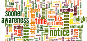 notice-the-reaction-with-awareness
