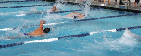 Many Lessons: Swimming, Aikido, and Life